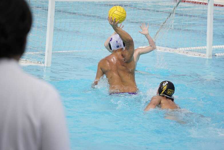 a48203e6 d266 04aa d144 3f9ef7ee6919