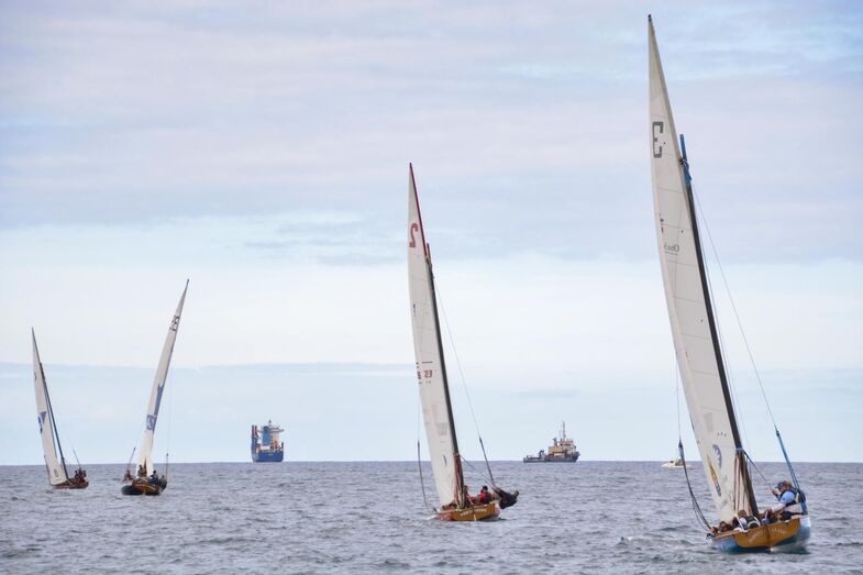 regata0204202201