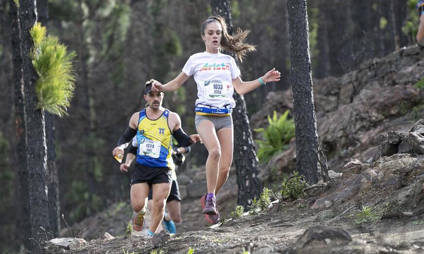 artenaratrailCDR 9051