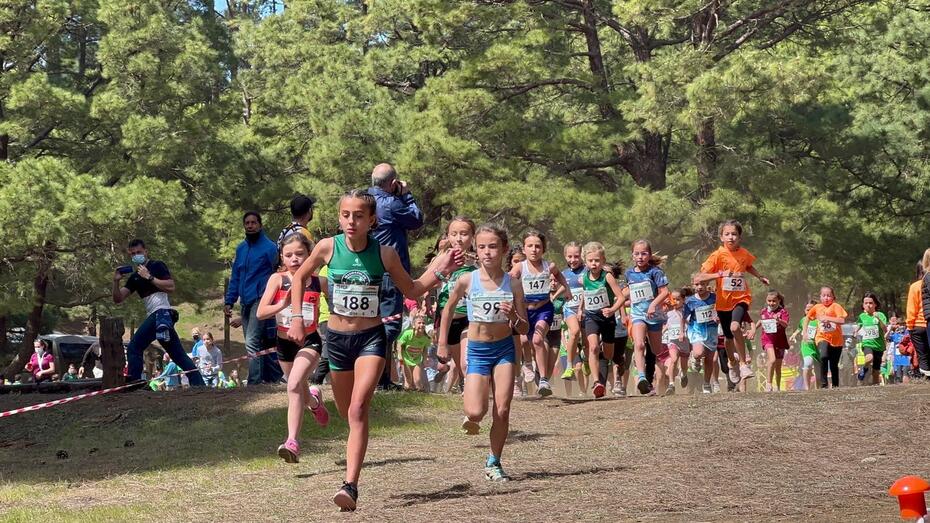 menorescampoatraves01