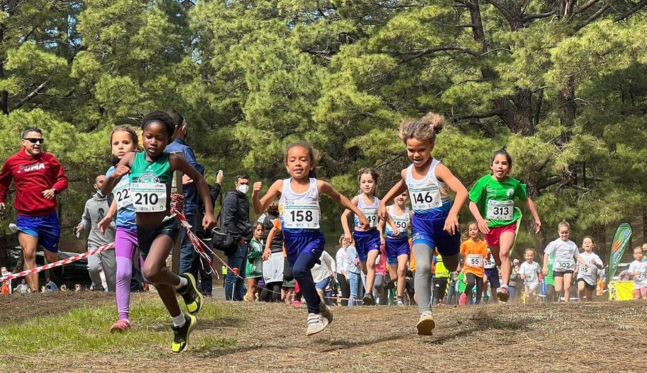 menorescampoatravés