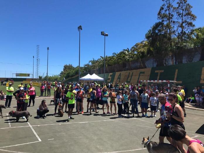 foto entrega premios