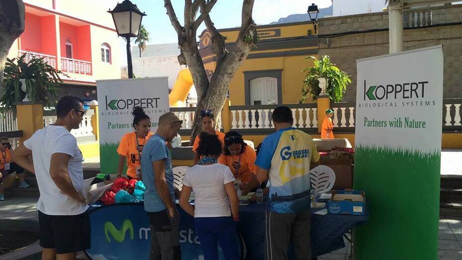 voluntariado primera edición