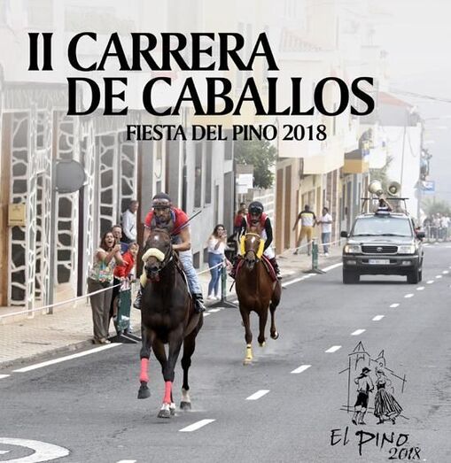 13 carrera caballos