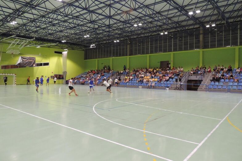 Futbolsalalaaldea209