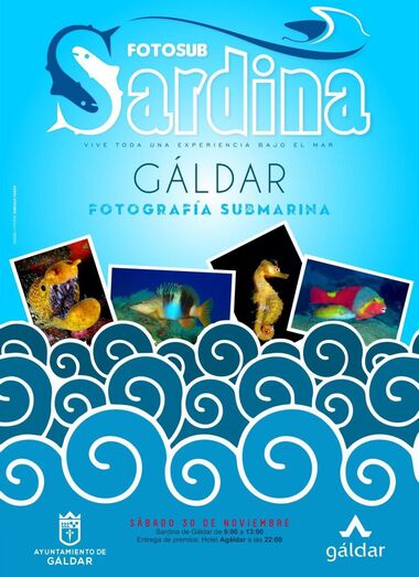 01cartel 2019fotosubsardina