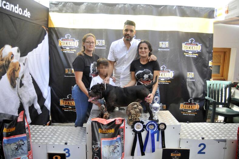 190915 festival american bully 5