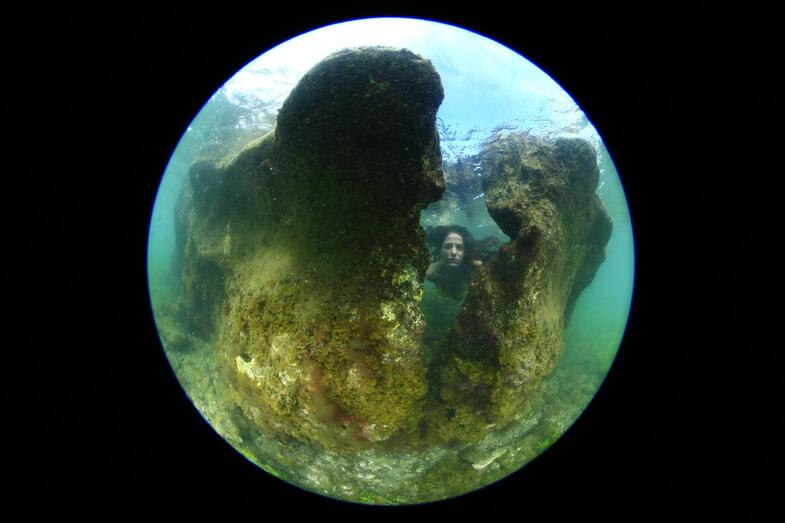 48926485542arturo telle