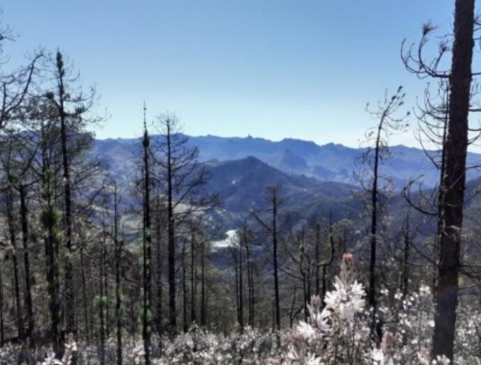 Caminata sábado 14 de M