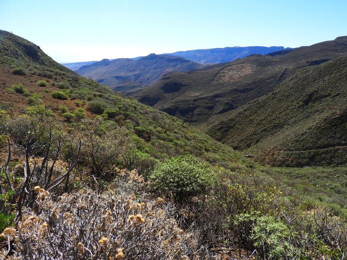 vallesecosenderosdsd