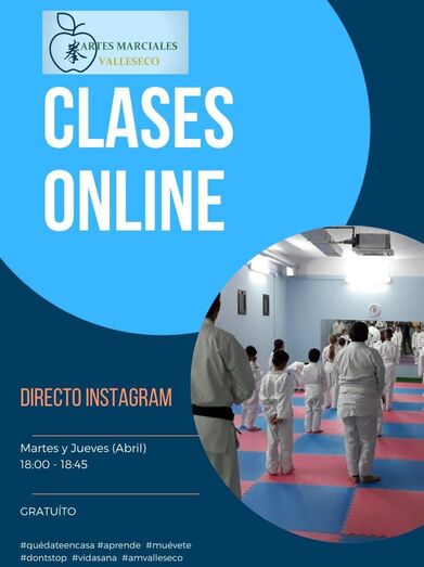 vañllesecoClases online 1