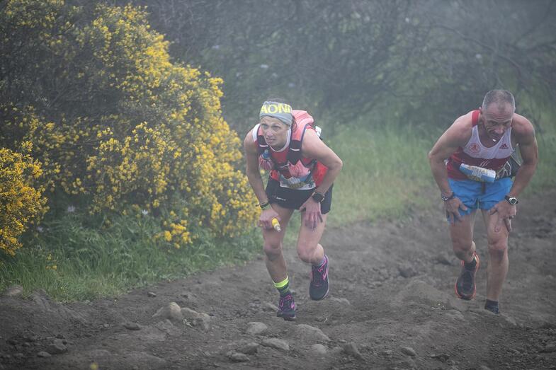 Dominique Van Mechgelen