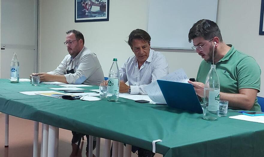 asamblea telematica 2