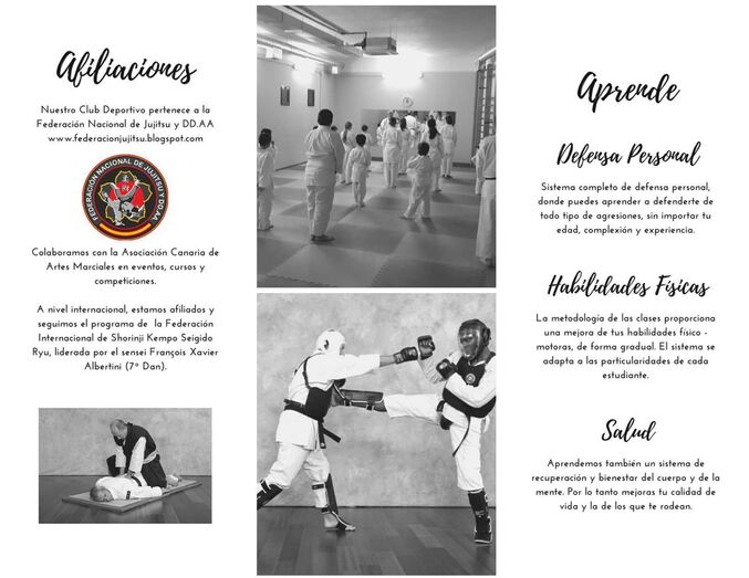 vallesecoArtes marciales 2