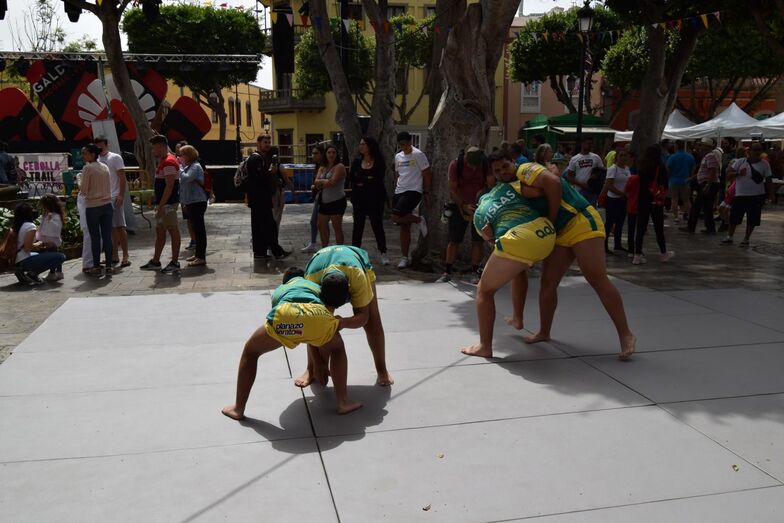 Exhibición de lucha canaria