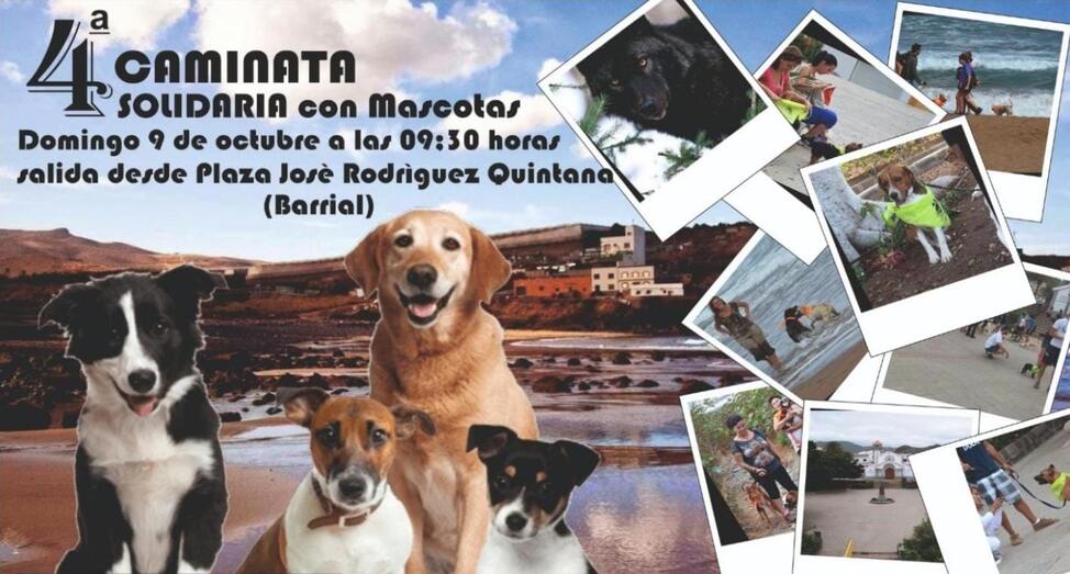 IV Caminata Solidaria con Mascotas