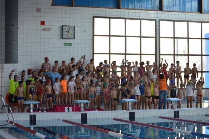 natacionParticipantes 2014