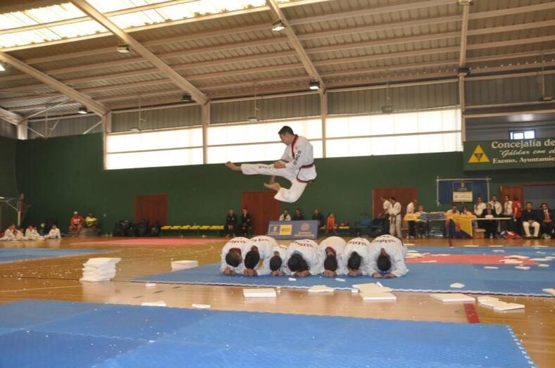 taewondo2015galdar01