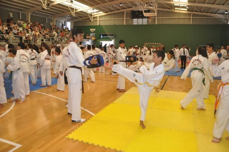 taewondogaldar201501