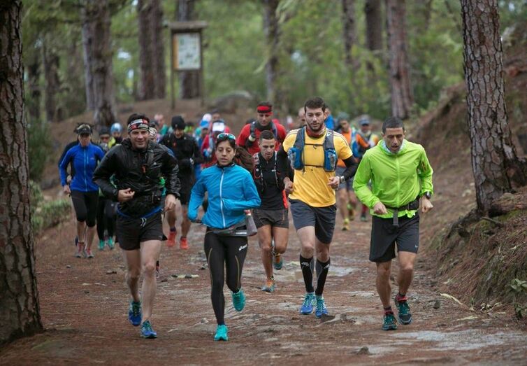 transgran2015enero