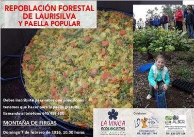 forestalfirgas