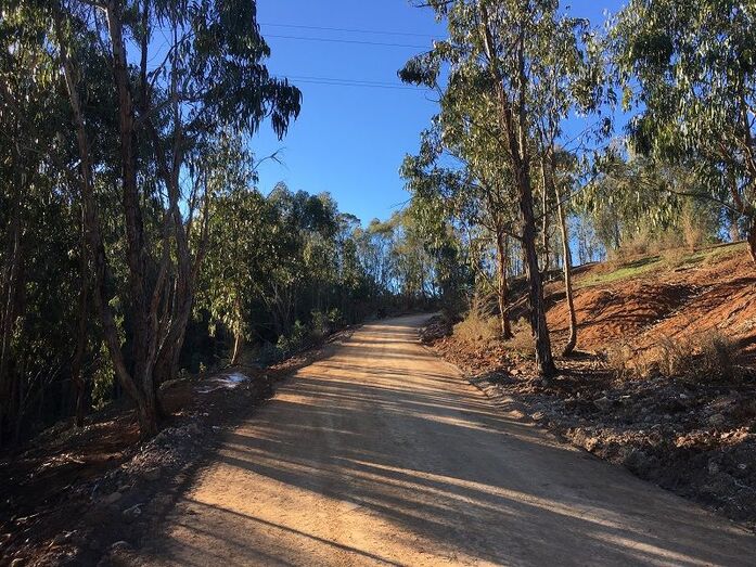 caminomontañafirgas