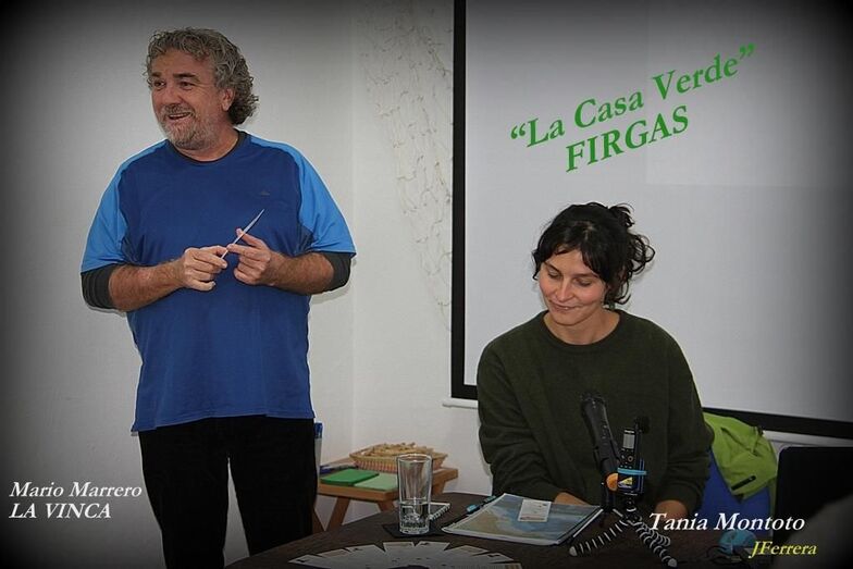 microplasticosfirgas