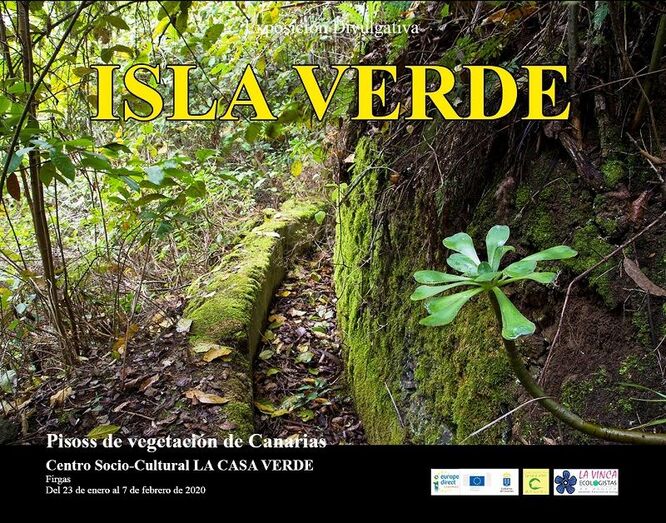 Cartel Isla verde Firgas