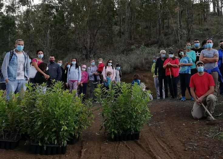 plantacionnoviembre