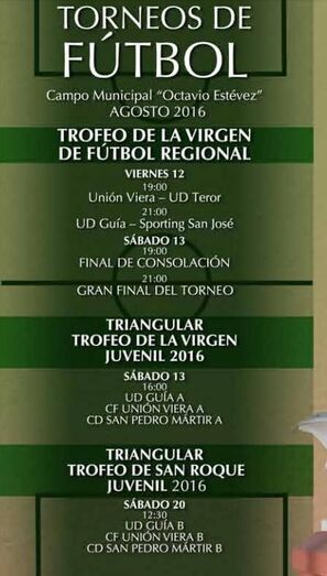 carteltorneolavirgen2016