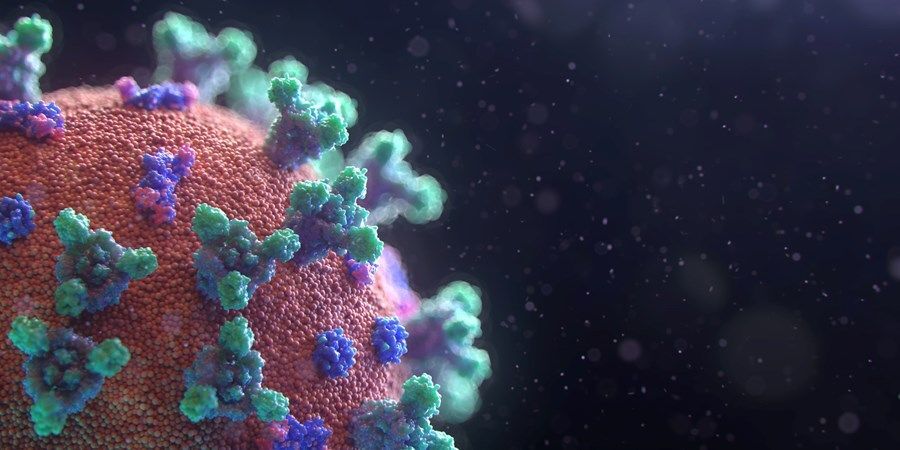 fusion medical animation eaggqoiddmg unsplash