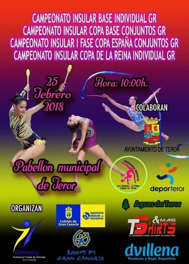 22 cartel gimnasia ritmica