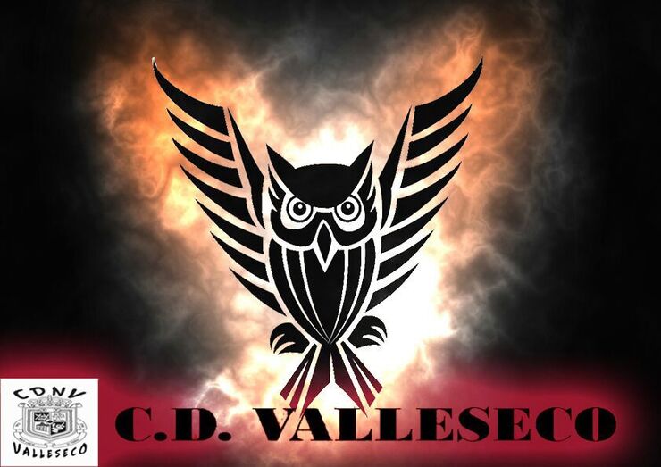 logocdvalleseco1