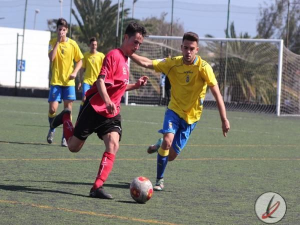 dhJuvenilrubenb 7