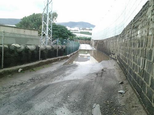 charco sardina