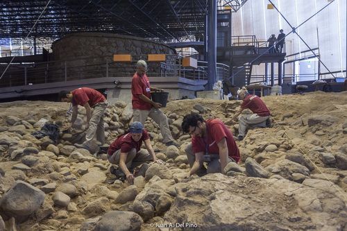 excavacin cueva