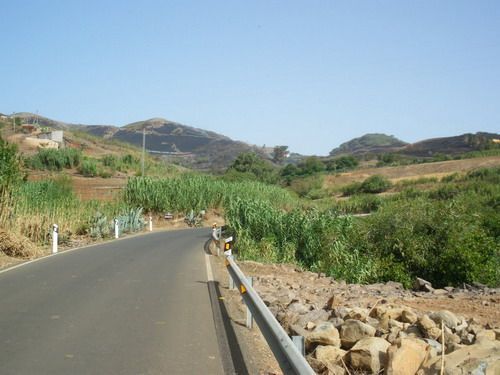 medianias de galdar