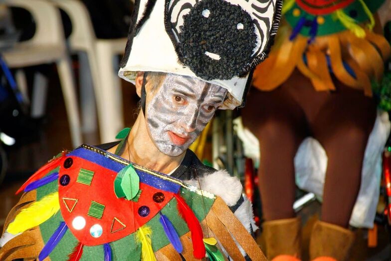 carnavaldiscapacidad201503