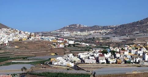 la vega 8