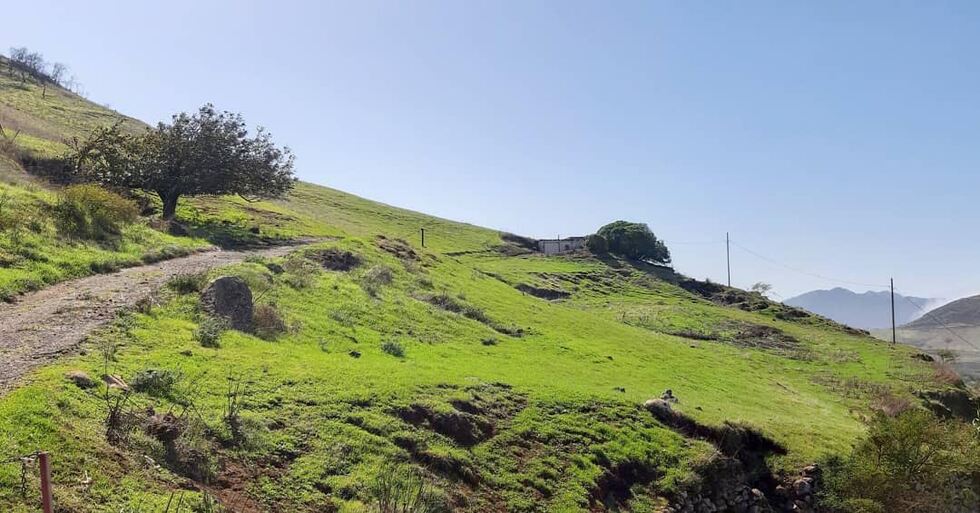 01f40421e1 e326 4df8 a06d 281be157c28d