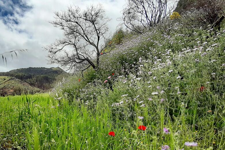 abc4f47b 71e6 4020 bd15 ad74d05fefc6