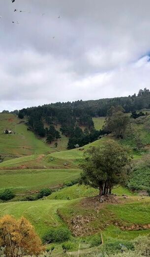 c9bc5e16 2220 45c6 9b36 2039577dc5e4