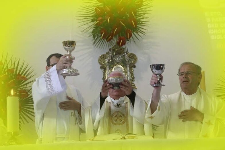 celebracioneucaristiasanisidro2019