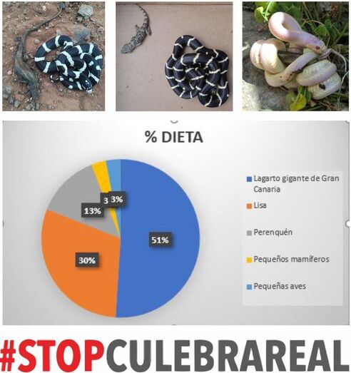 culebras02