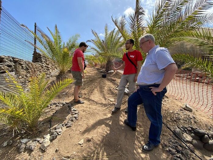 yacimiento la guancha
