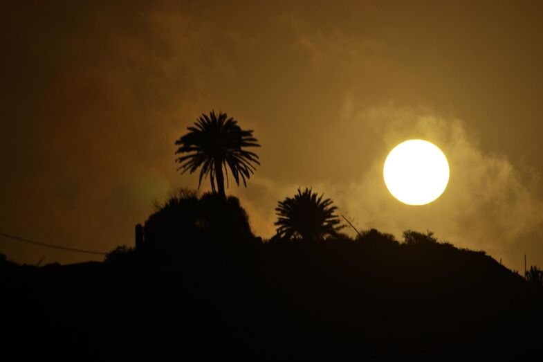 celiamariahernandezpadron03