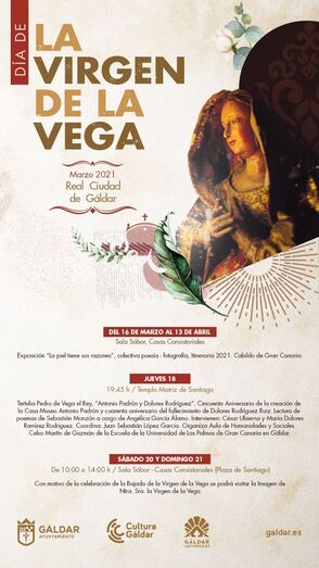 virgen de la vegaprograma