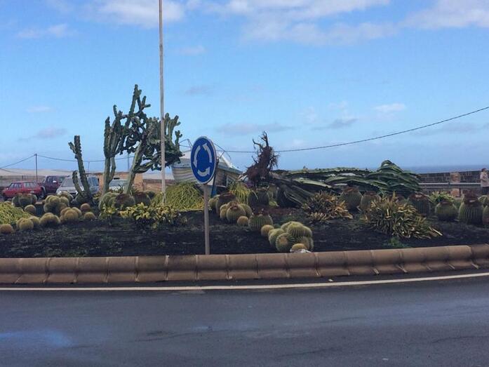 16729027 869169936558224 8359283118106908509 n