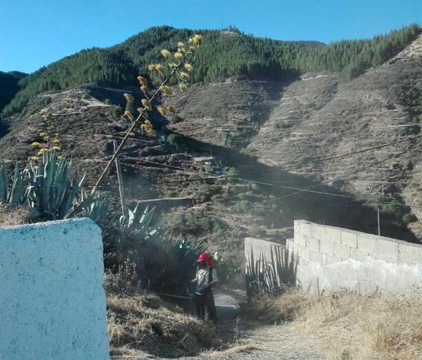 limpiezacaminojuncalillo