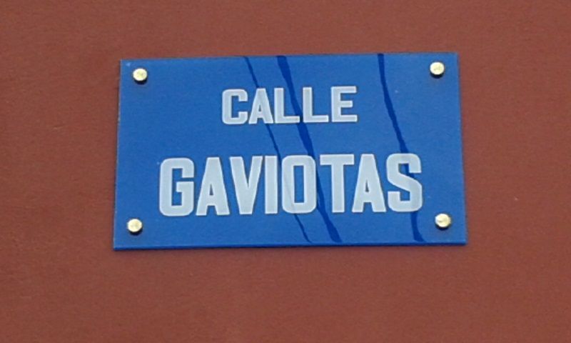 callegaviotas